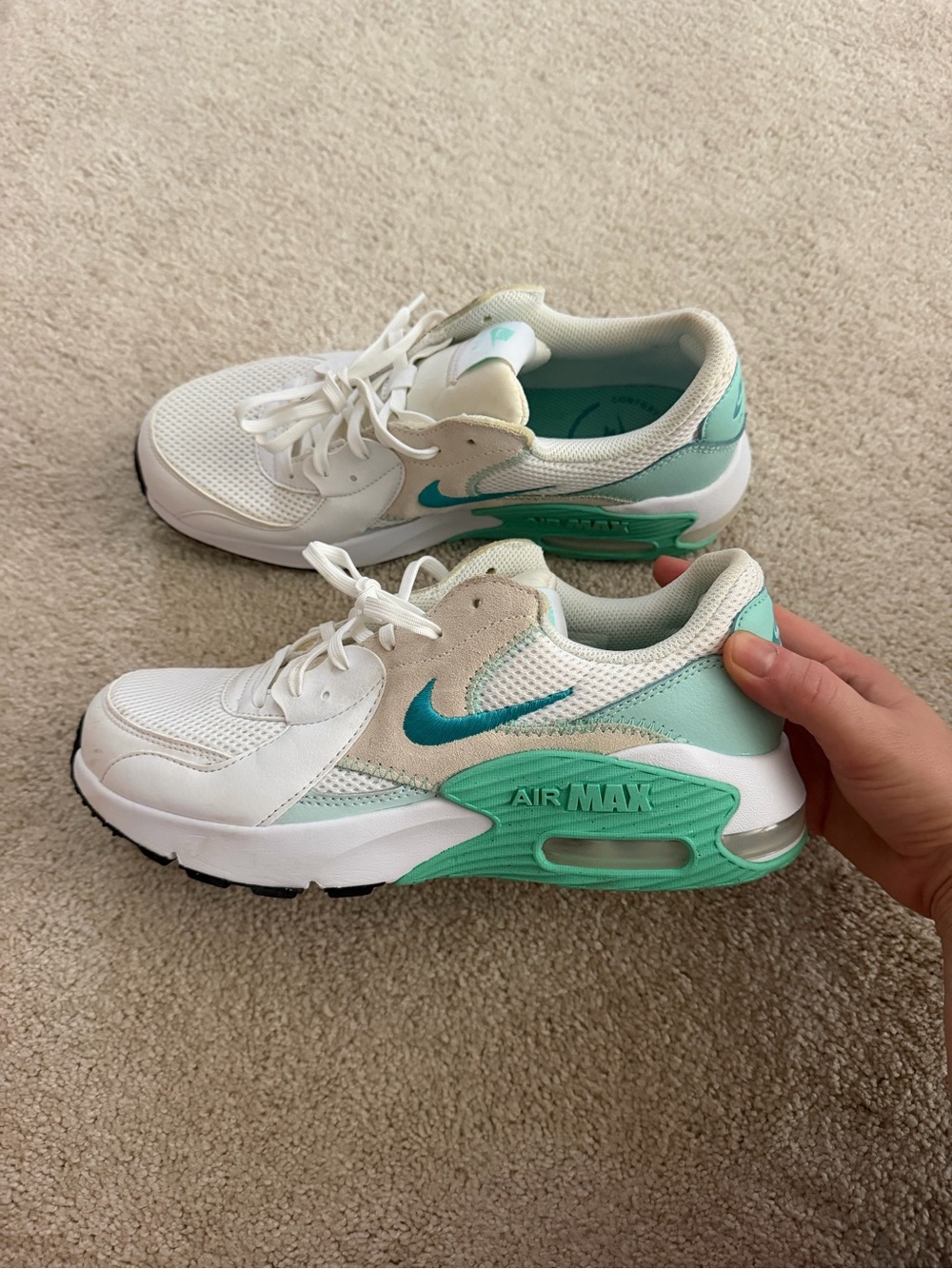 Nike Air Max Sneakers
